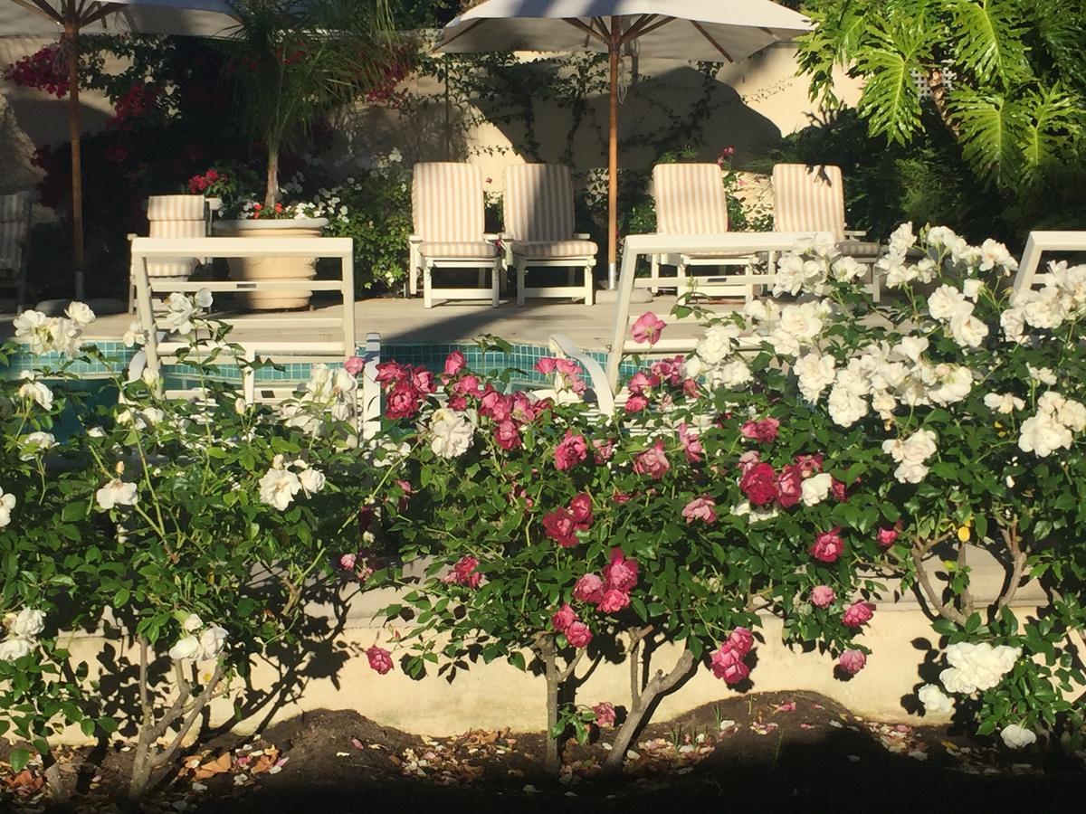 Constantia Valley Lodge Кейптаун Екстериор снимка